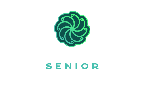 Reconnect Senior
